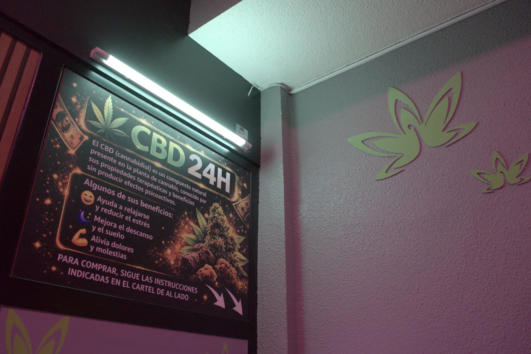 Cartel CBD 24h con detalle de neón verde
